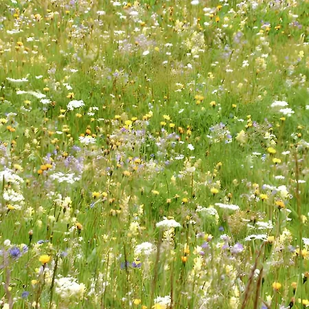 Cozy In 80 M² With Mountain View 贝尔瓦尔德