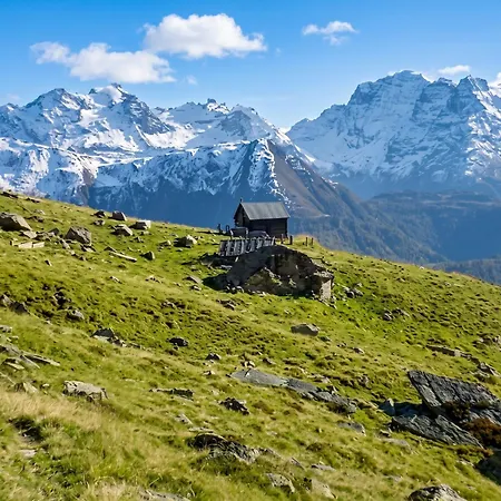 Daire Cozy In 80 M² With Mountain View Bellwald